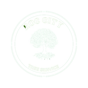 Simple_Flat_Illustrative_Badge_Logo_20240526_101912_0003-removebg-preview